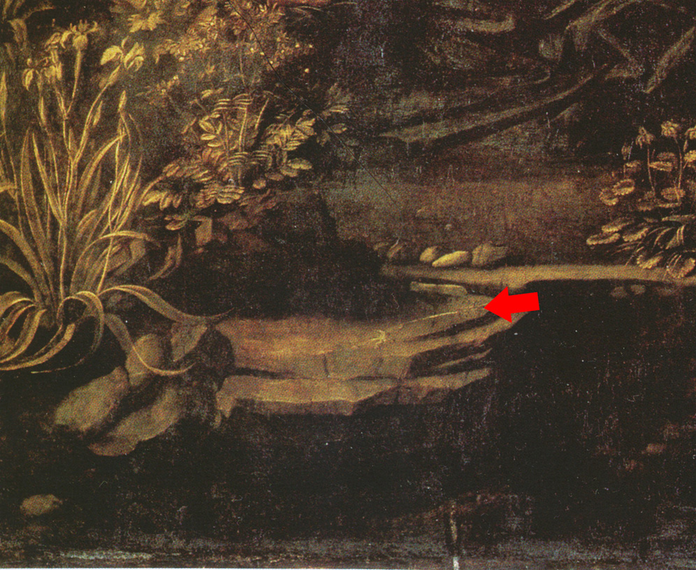 Detail from Virgin of the Rocks