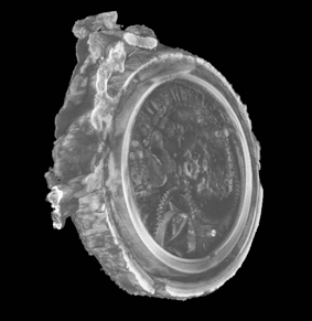 3D CT image showing internal mechanism of watch