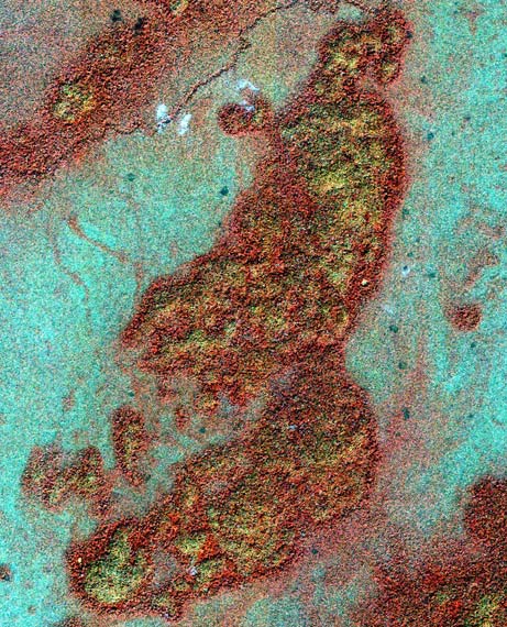 Satellite photo of wetland area in Guatemala c. Reuters/NASA