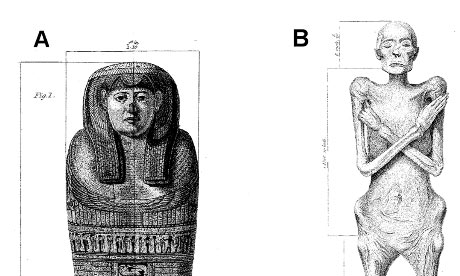 Drawings of the mummy, made by Dr Granville. Image: Royal Society